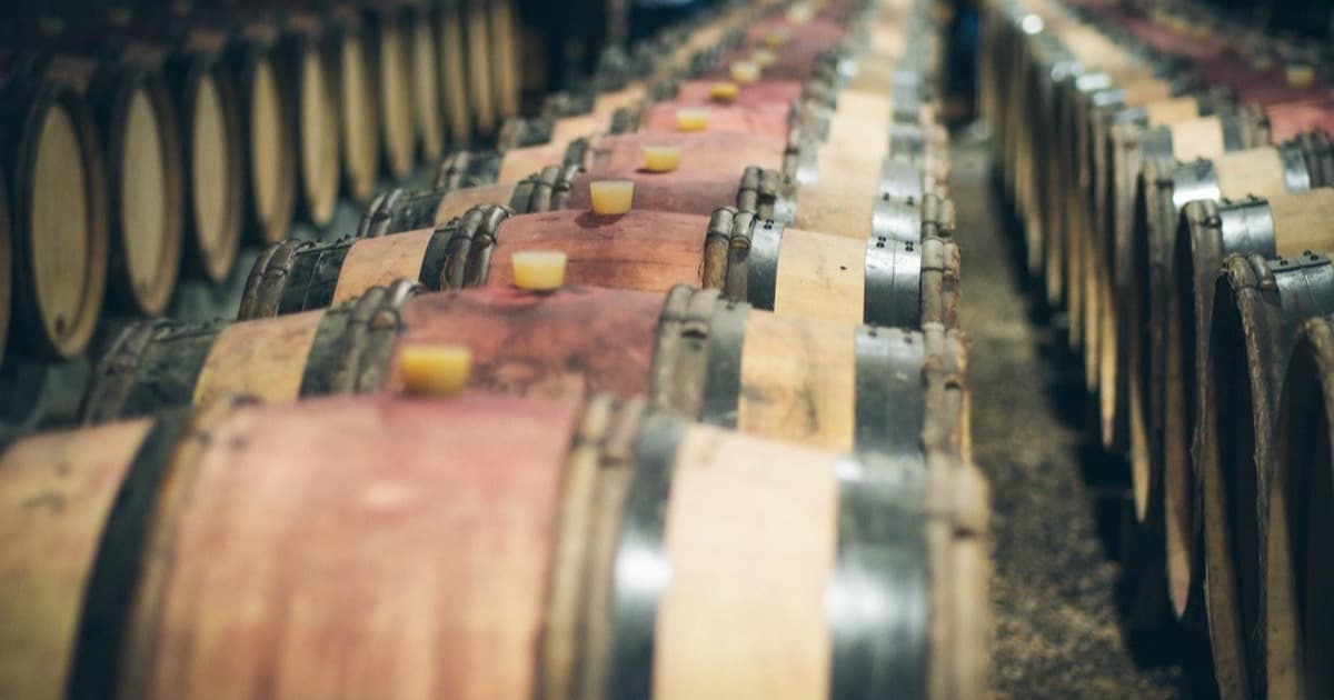 Bodega vitivinícola chilena con barricas de vino y trazabilidad desde viña a góndola